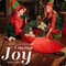 Christmas Wreath Storage Bag - Durable, Tarp Material, Zipper, Sturdy Carry Handles, Pest Protection - Ideal Home, Garage Organization for Seasonal Holiday Wreath Decorations. (30")